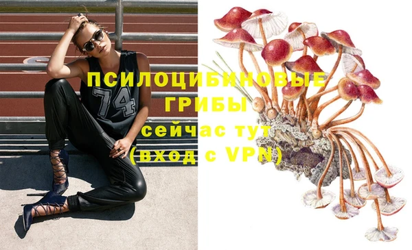 каннабис Вязники